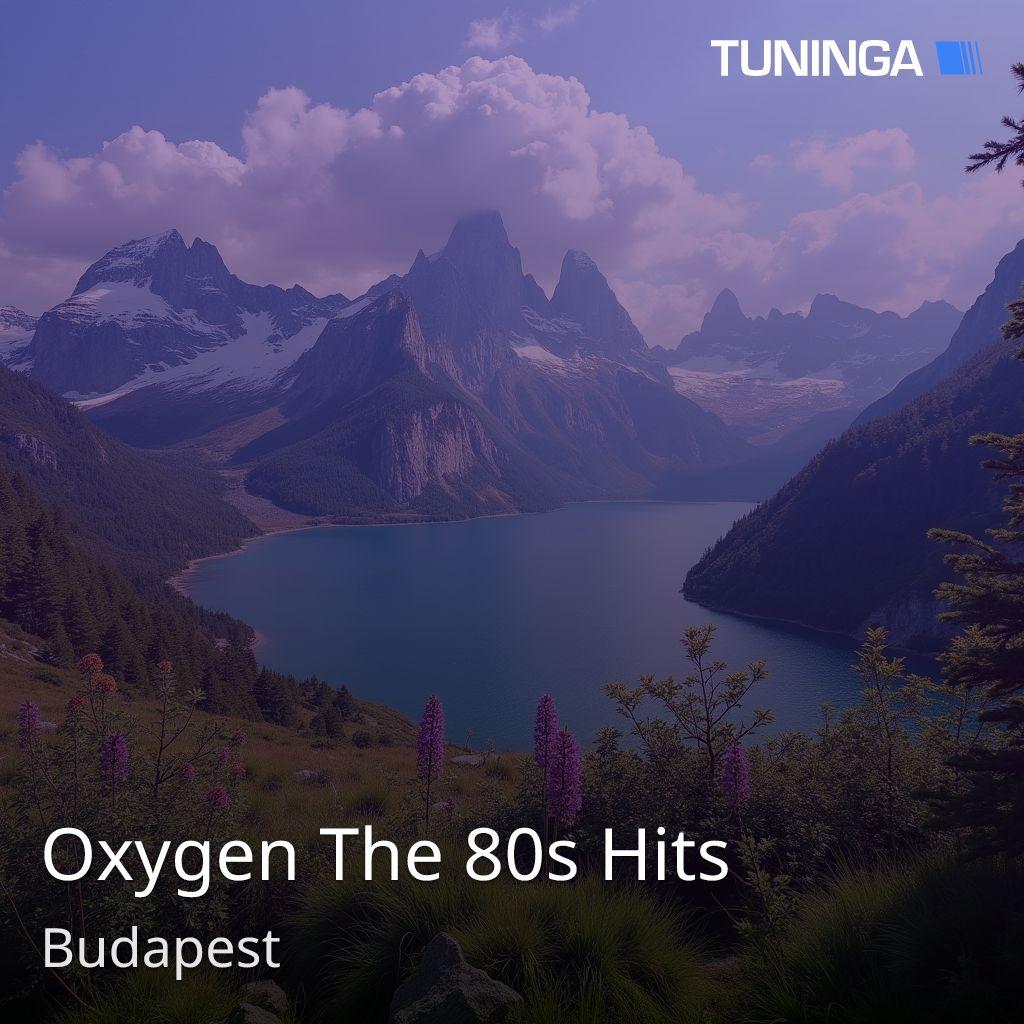 Oxygen The 80s Hits