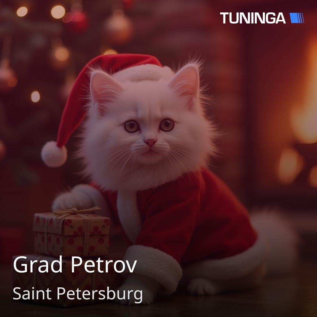 Grad Petrov