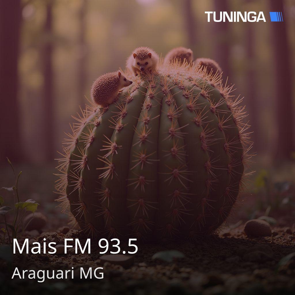 Mais FM 93.5