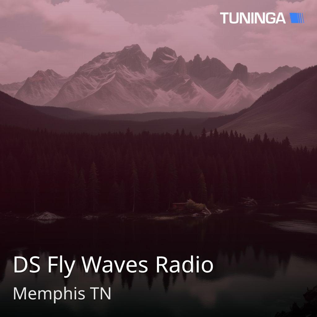 DS Fly Waves Radio