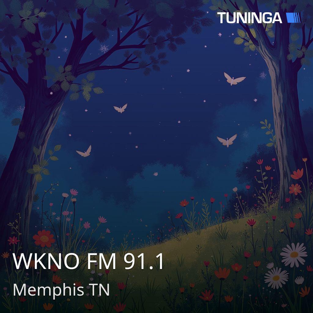 WKNO FM 91.1