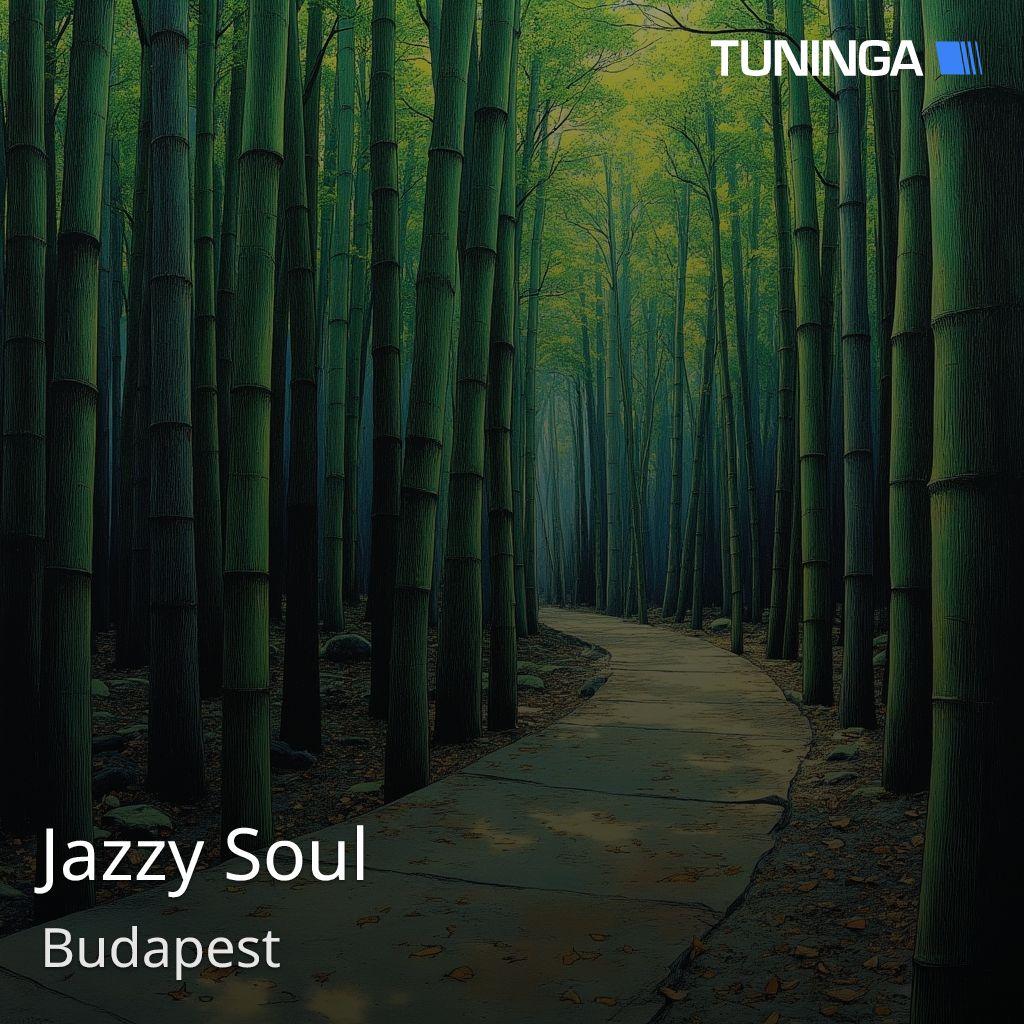 Jazzy Soul