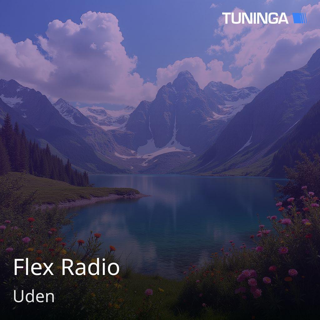 Flex Radio