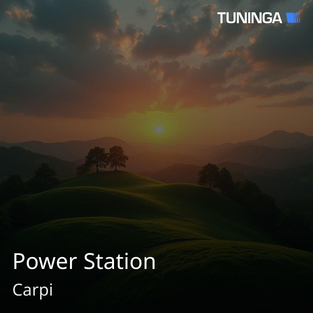 Power Station