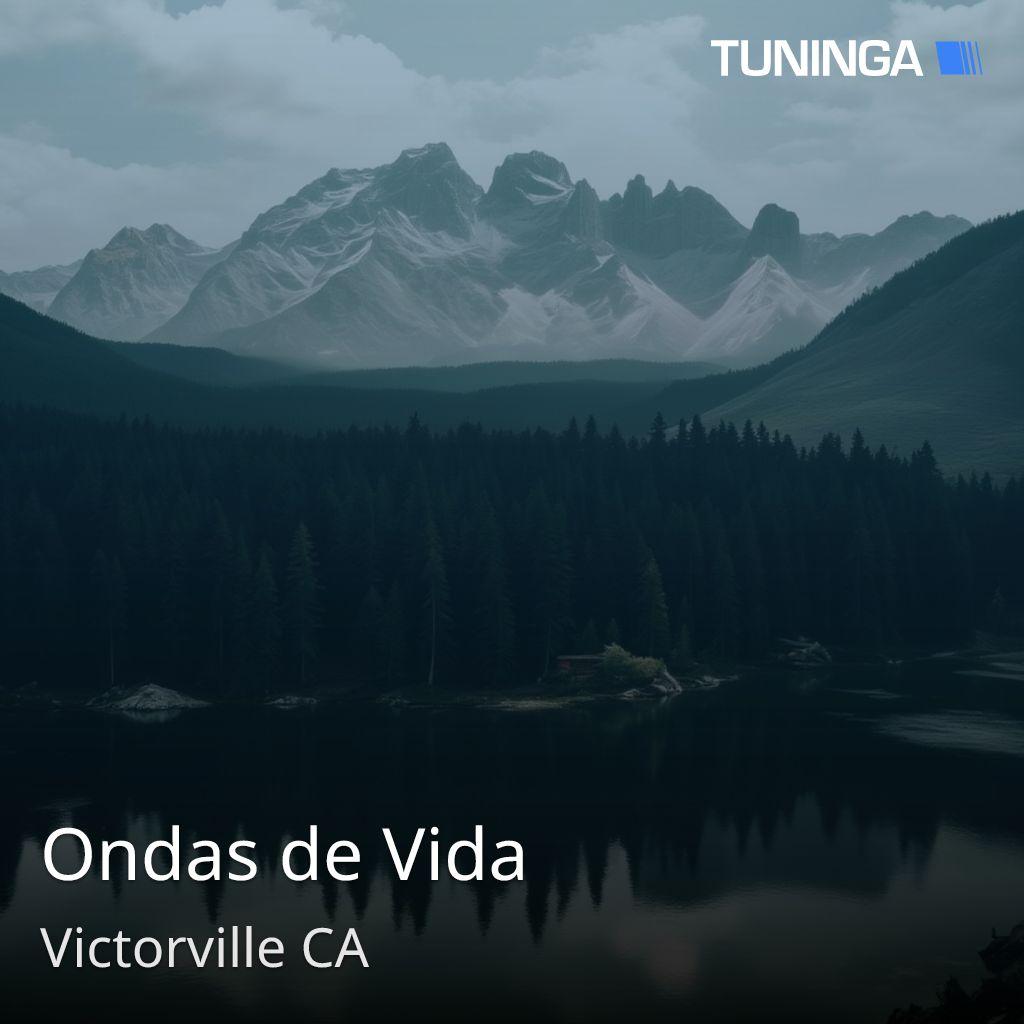 Ondas de Vida
