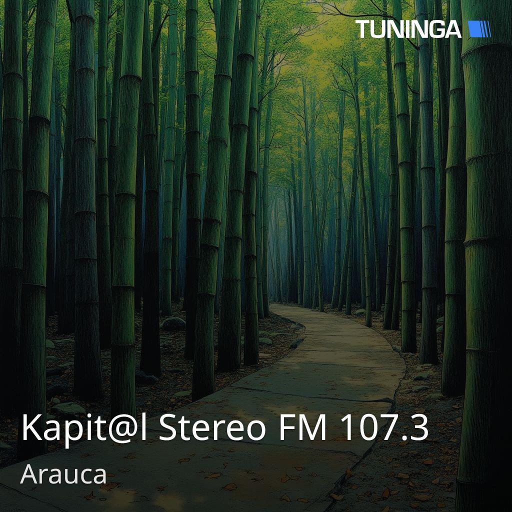 Kapit@l Stereo FM 107.3