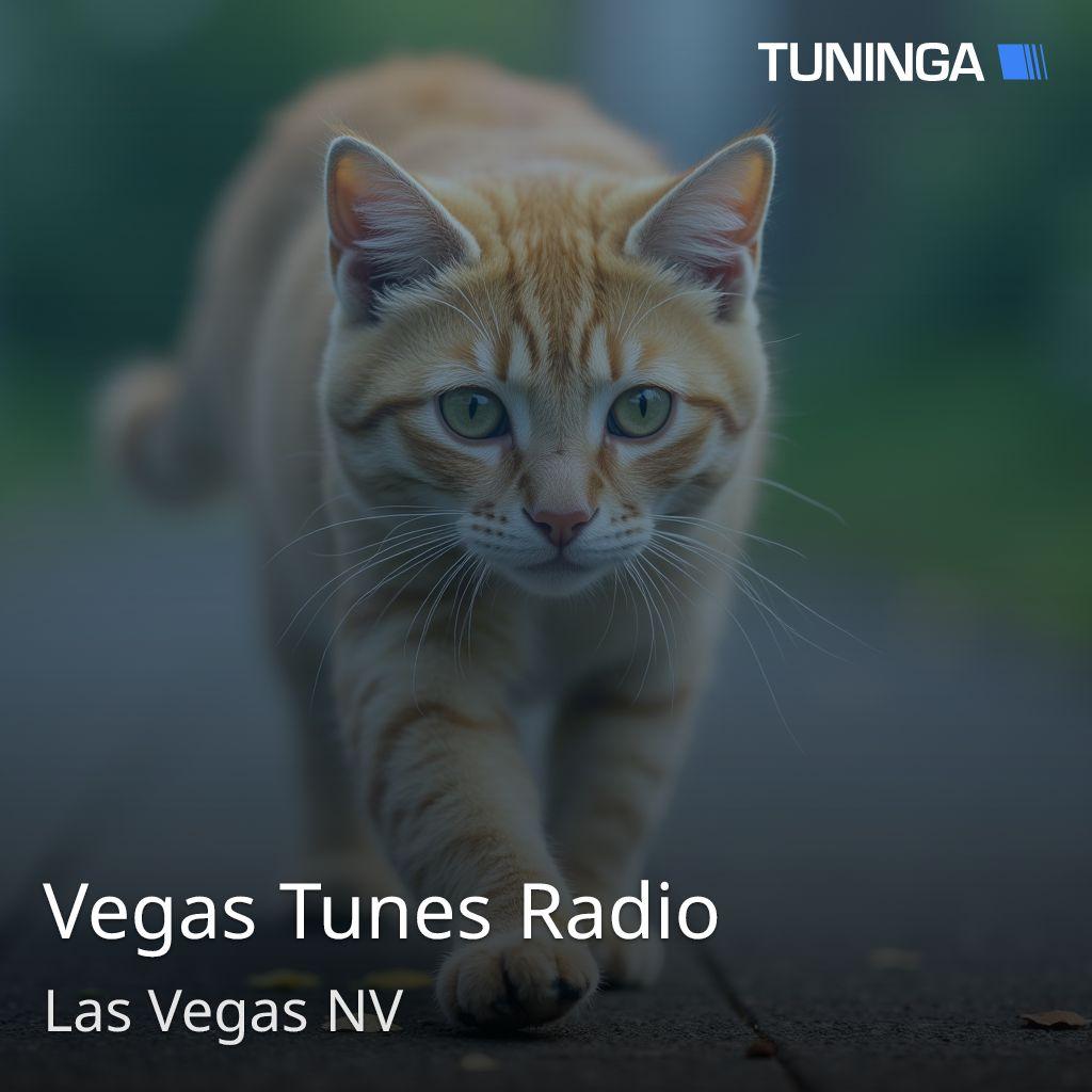 Vegas Tunes Radio