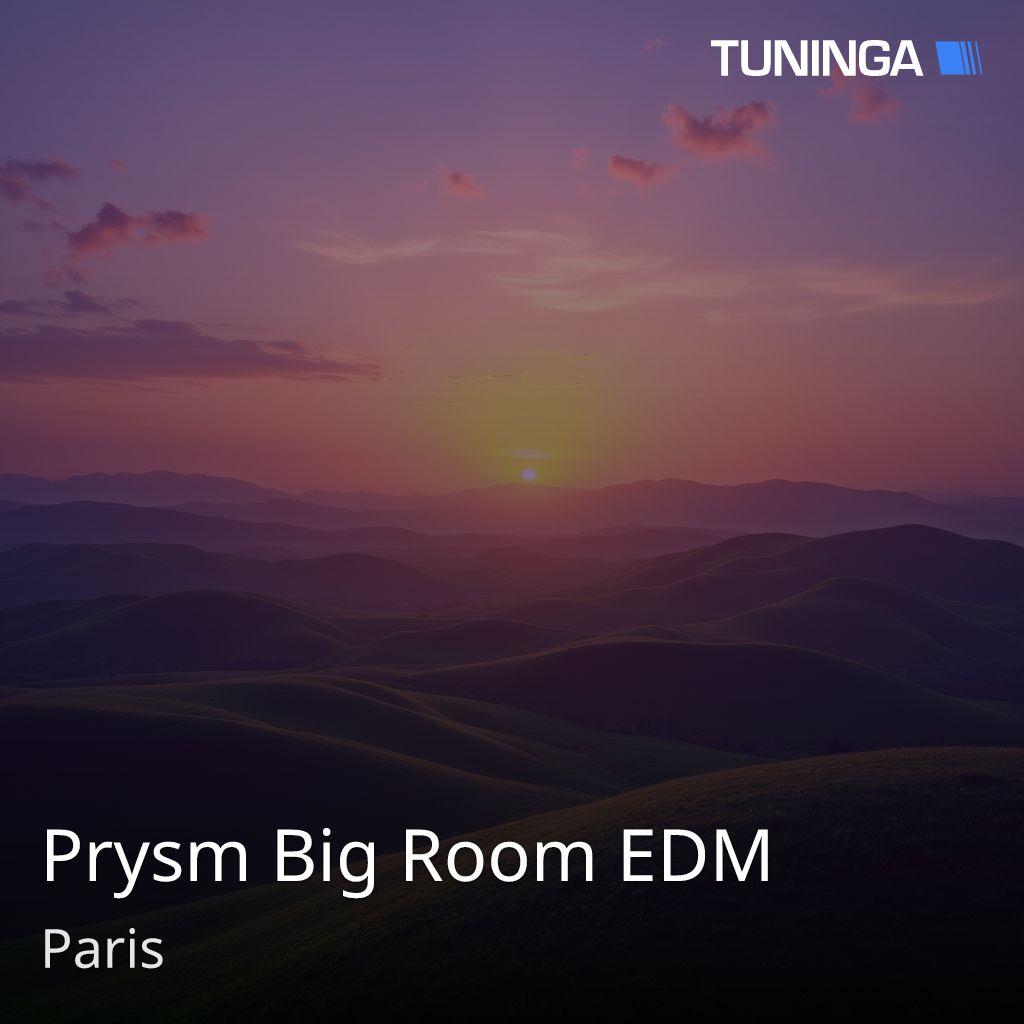 Prysm Big Room EDM