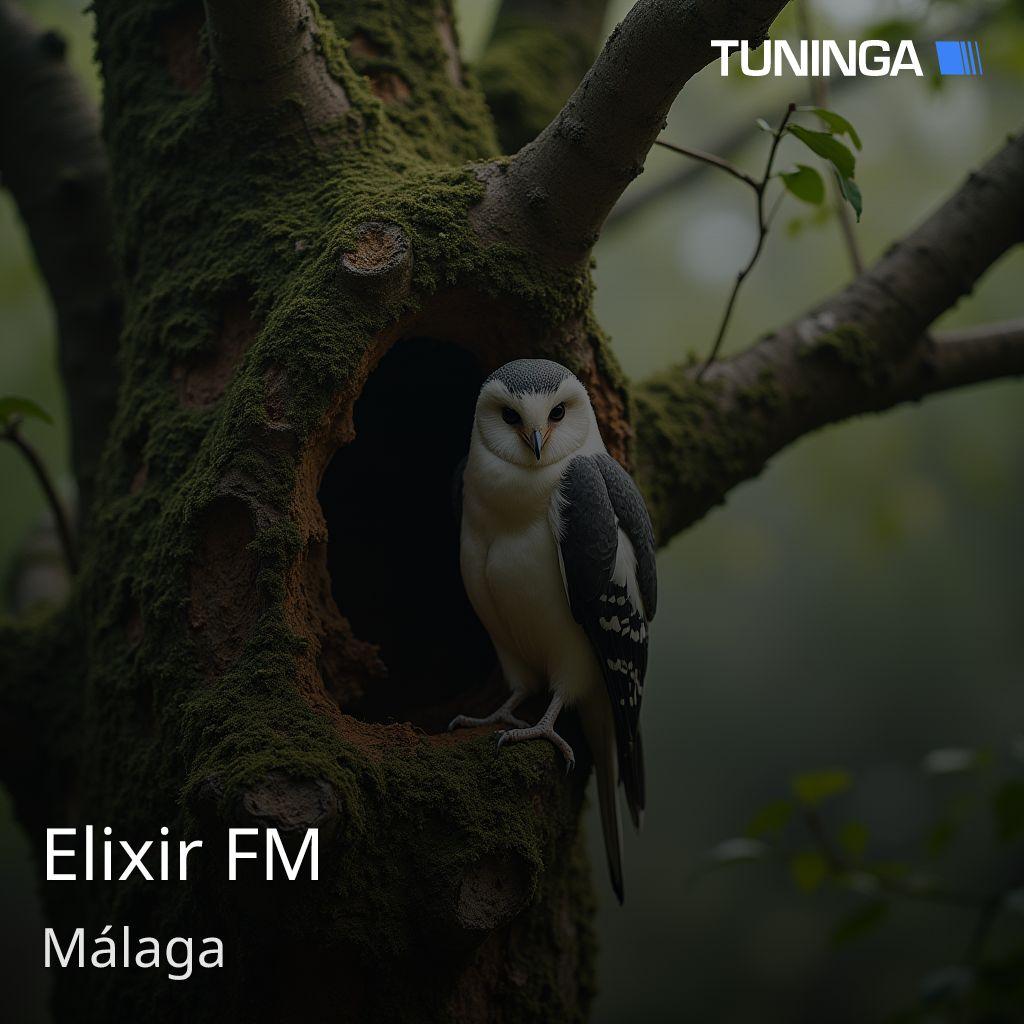 Elixir FM