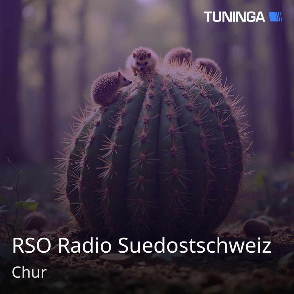 RSO Radio Suedostschweiz