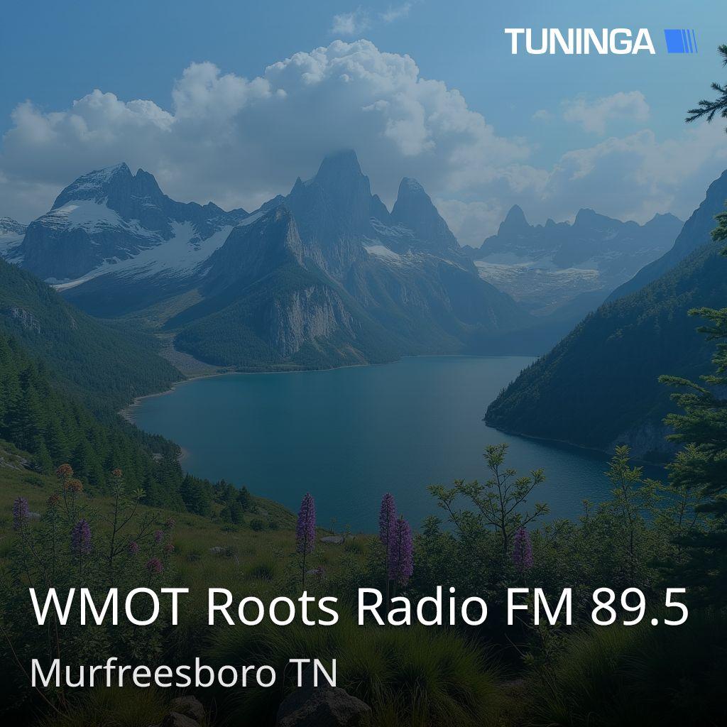 WMOT Roots Radio FM 89.5