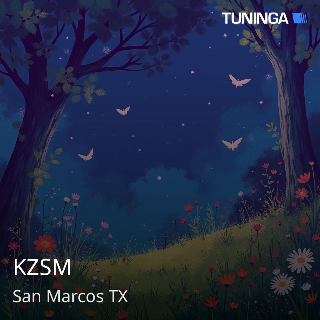 KZSM