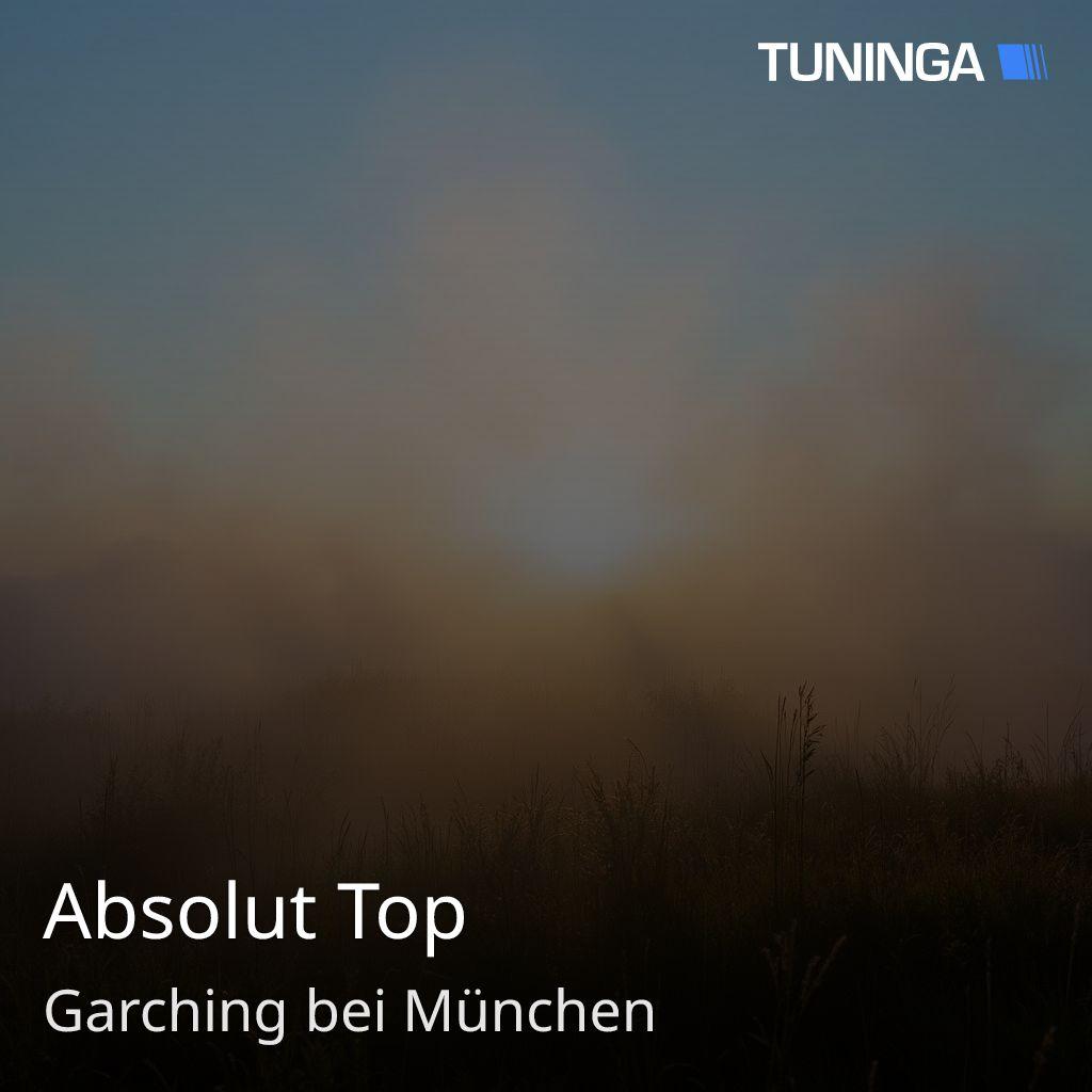 Absolut Top