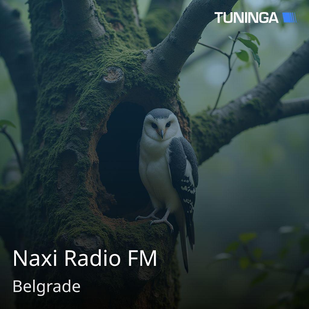 Naxi Radio FM