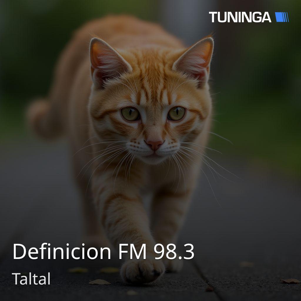 Definicion FM 98.3