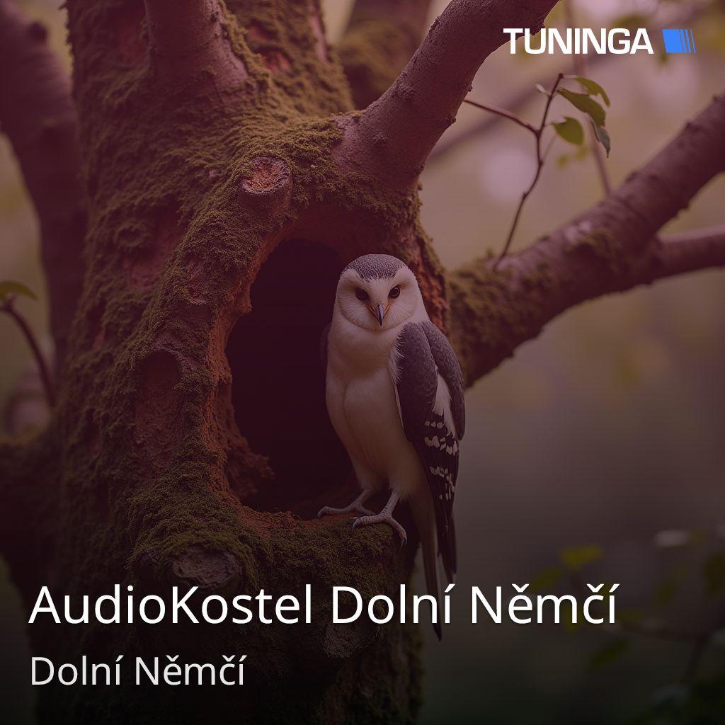 AudioKostel Dolní Němčí