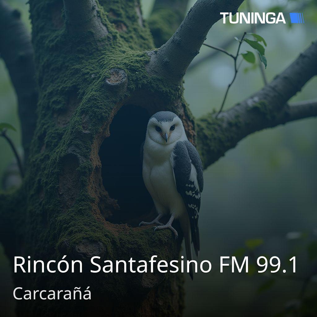 Rincón Santafesino FM 99.1