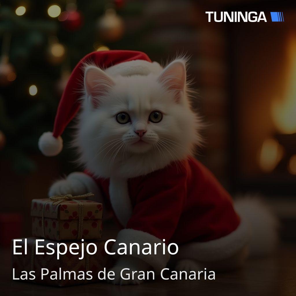 El Espejo Canario