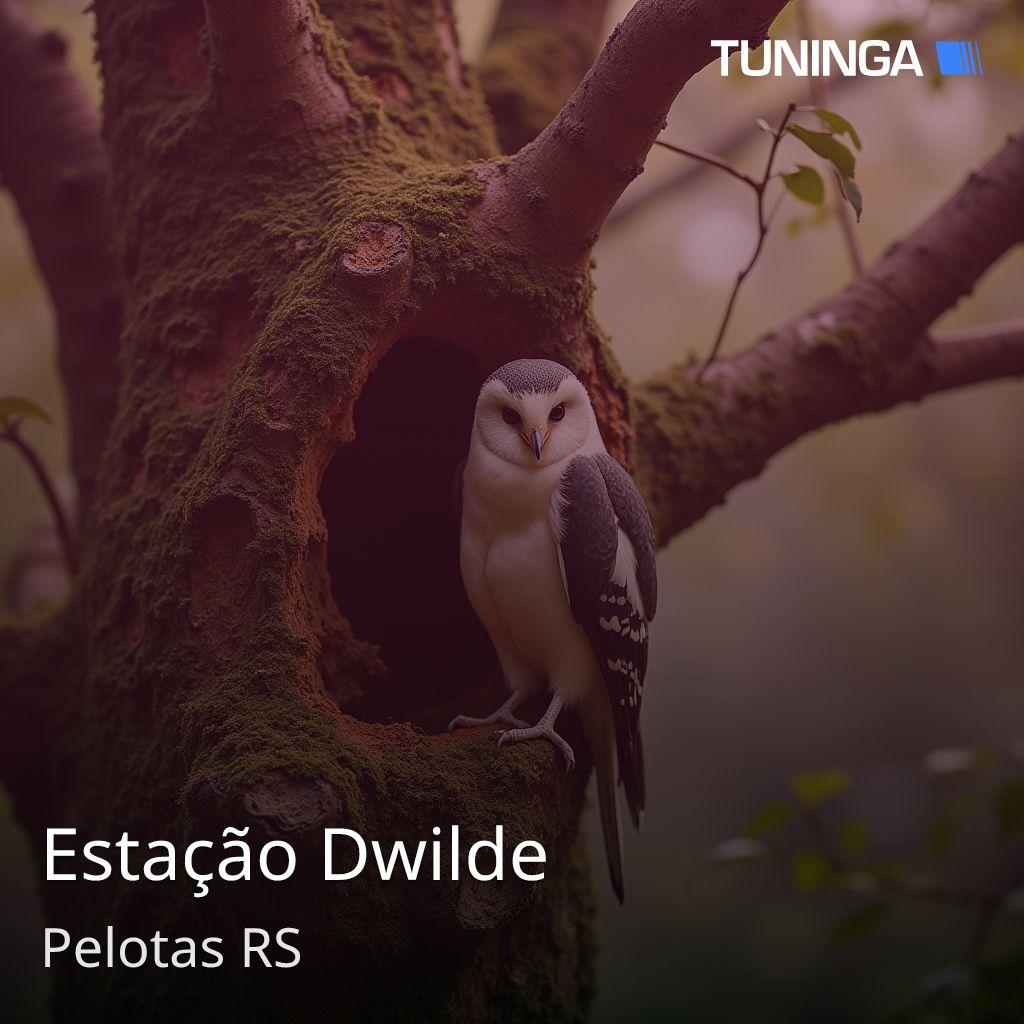 Estação Dwilde
