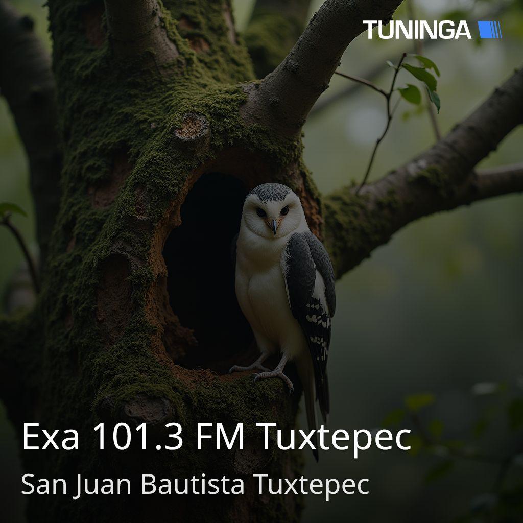 Exa 101.3 FM Tuxtepec