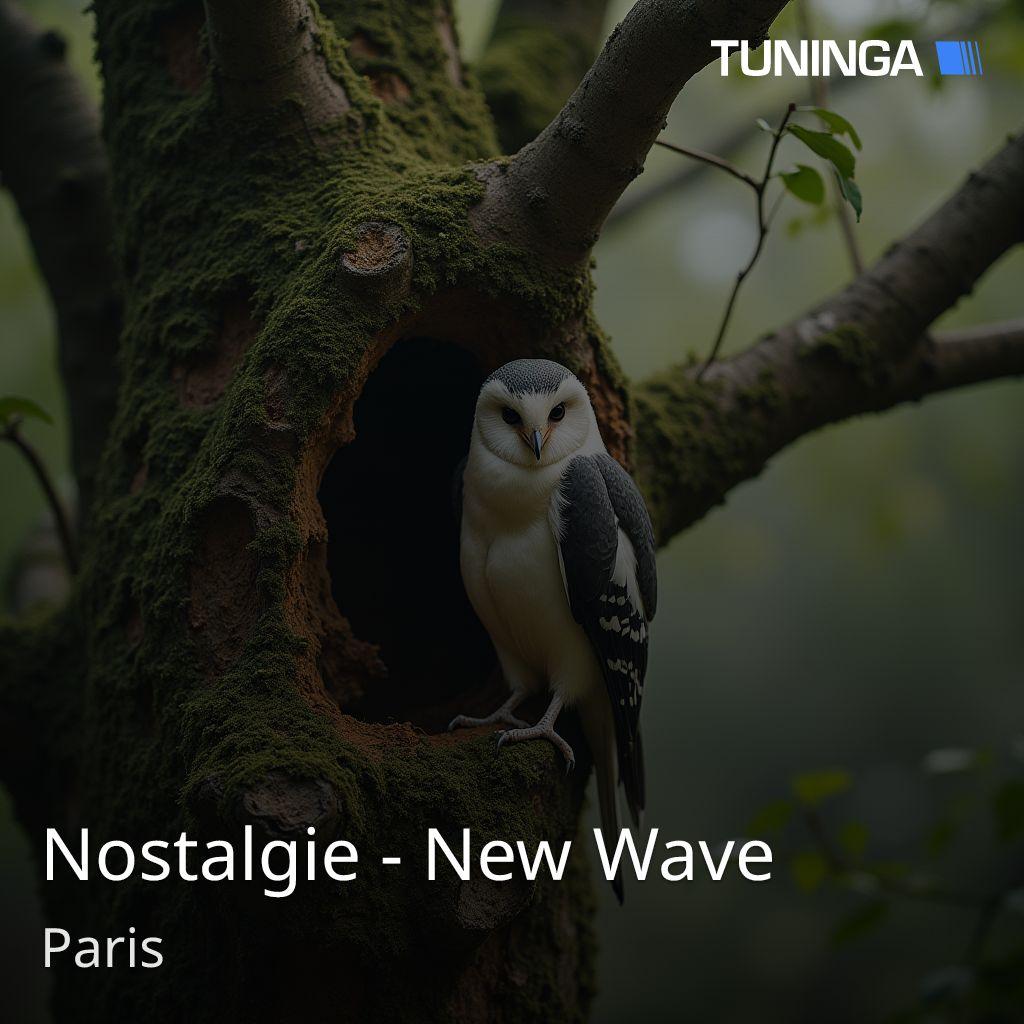 Nostalgie - New Wave