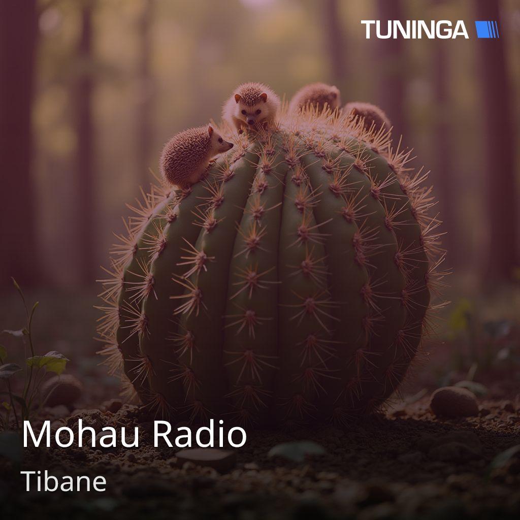 Mohau Radio