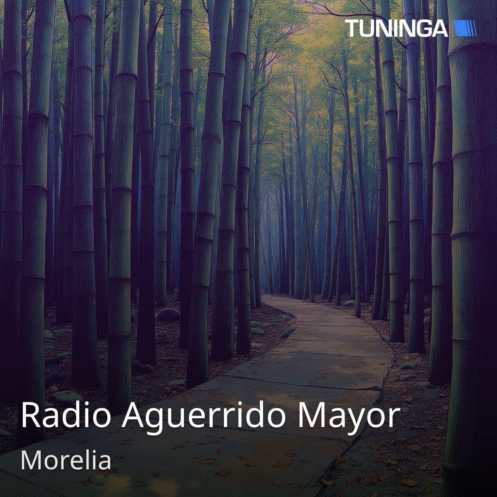 Radio Aguerrido Mayor