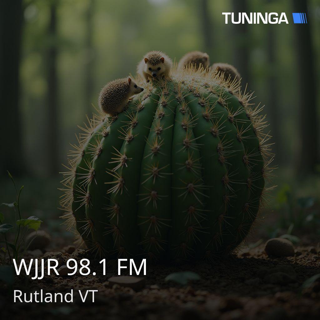 WJJR 98.1 FM
