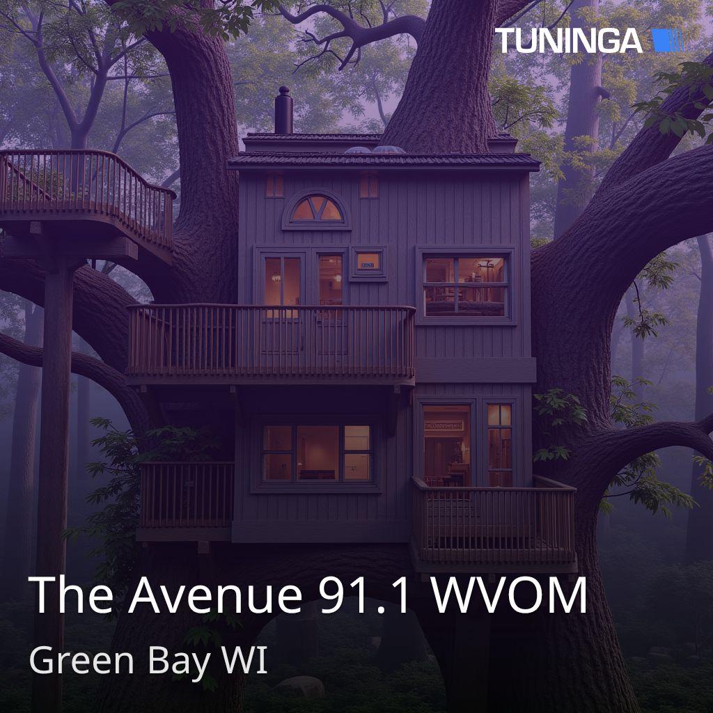The Avenue 91.1 WVOM