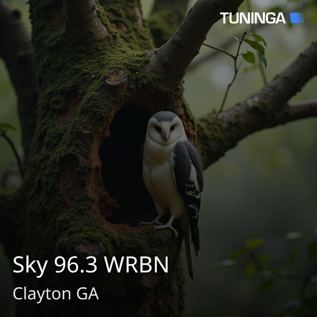 Sky 96.3 WRBN