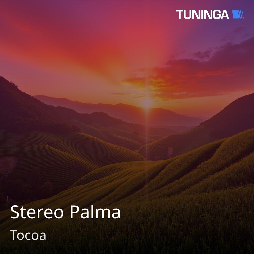Stereo Palma