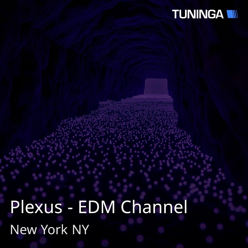 Plexus - EDM Channel