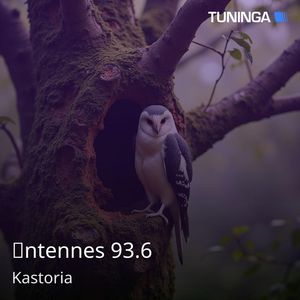 Αntennes 93.6
