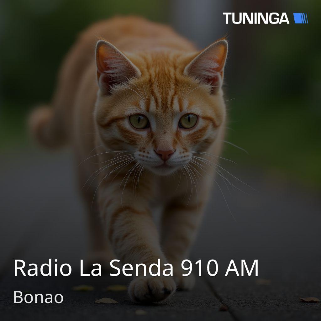 Radio La Senda 910 AM