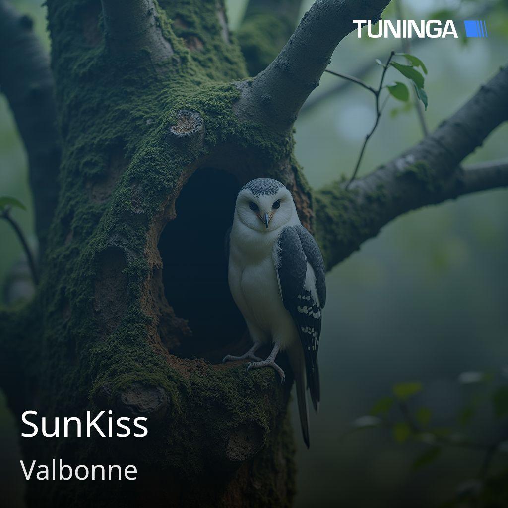 SunKiss