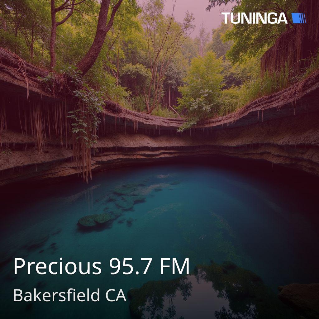 Precious 95.7 FM