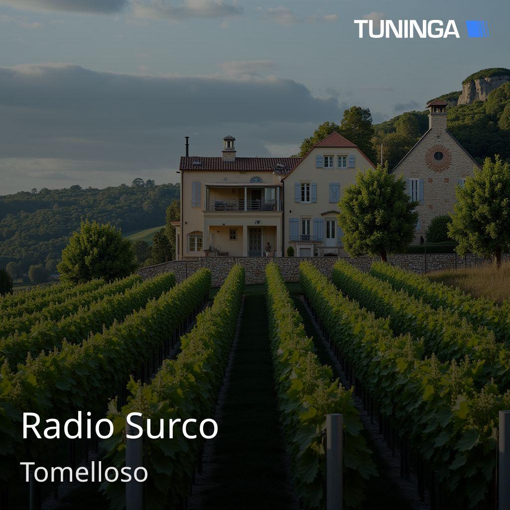 Radio Surco