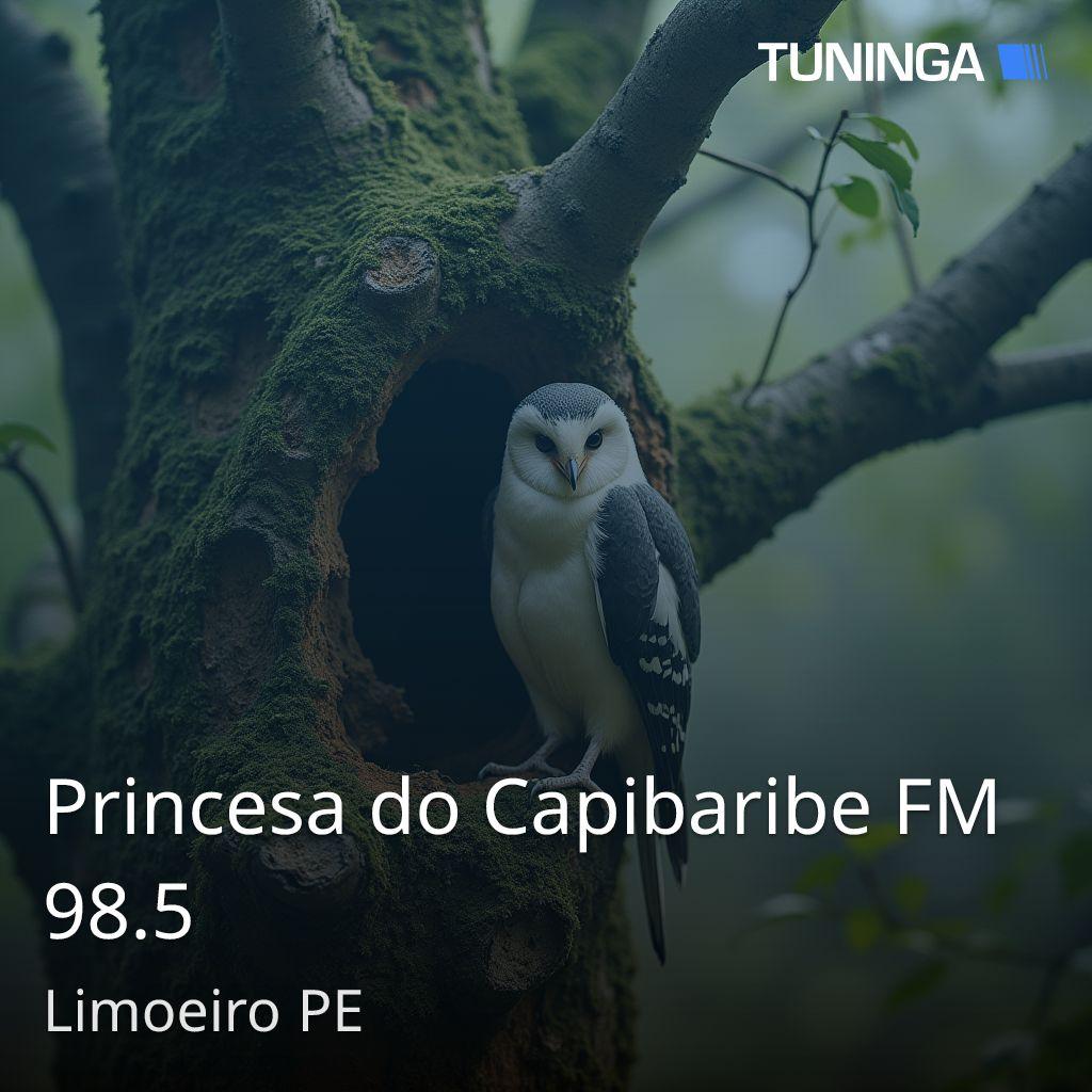 Princesa do Capibaribe FM 98.5