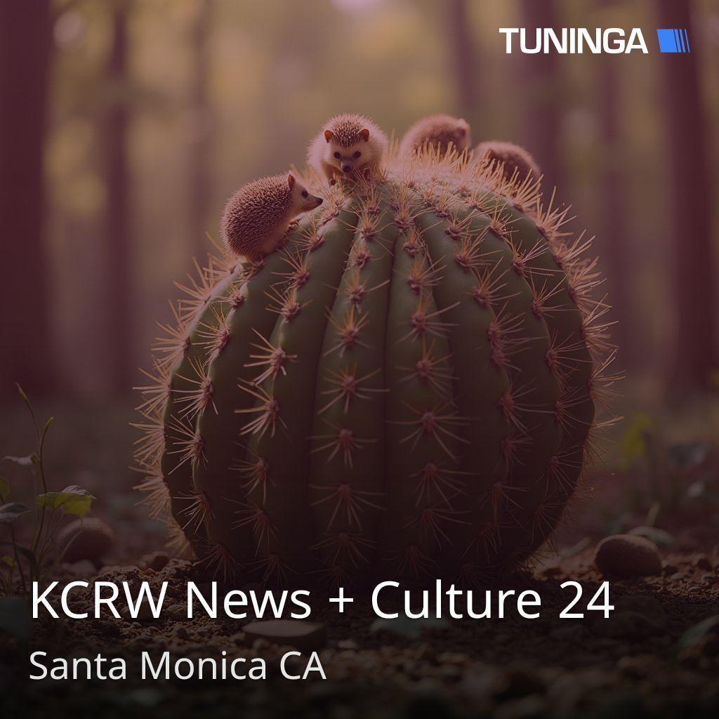 KCRW News + Culture 24