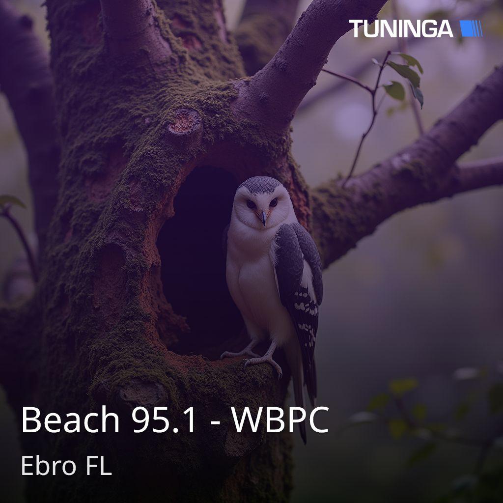 Beach 95.1 - WBPC