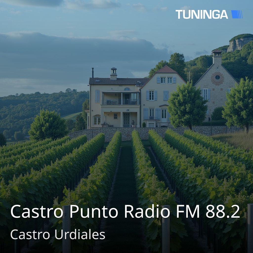 Castro Punto Radio FM 88.2