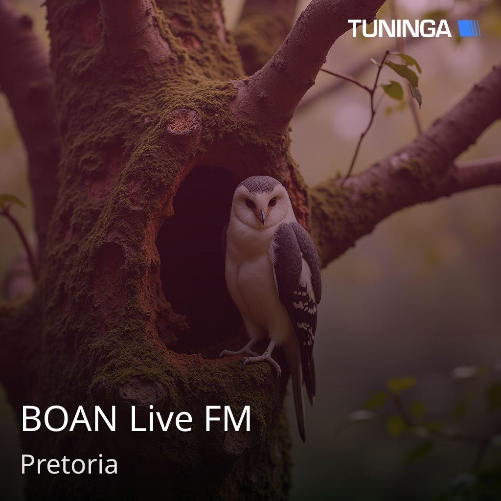 BOAN Live FM