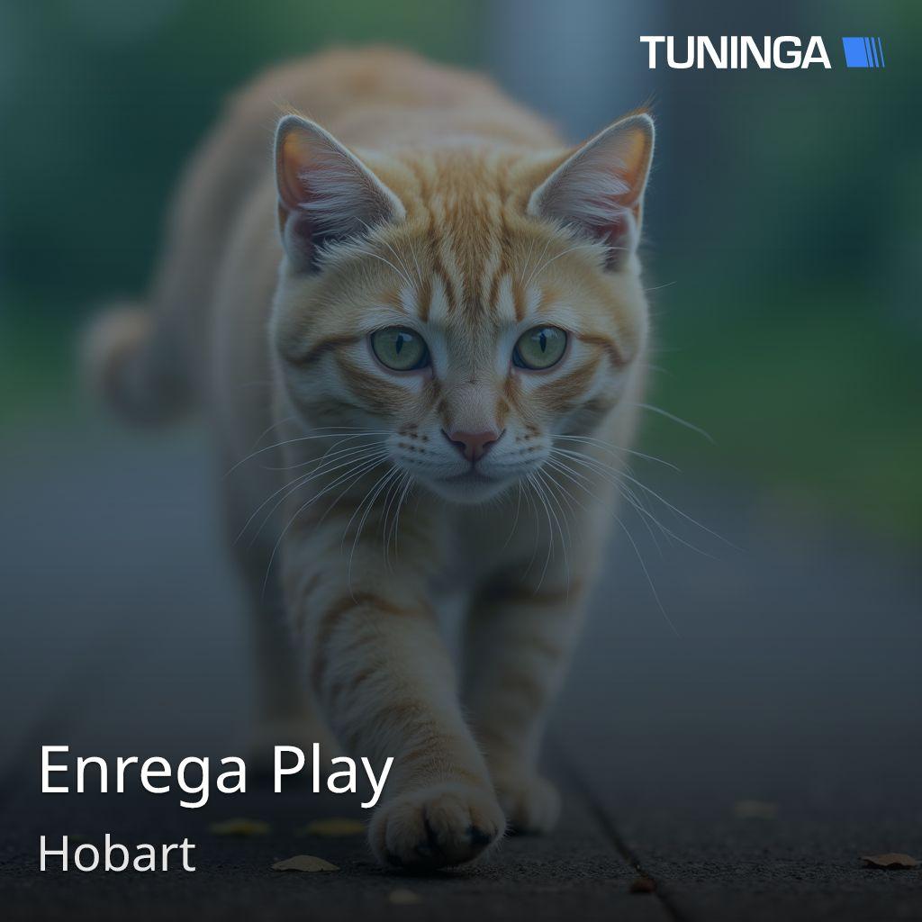 Enrega Play