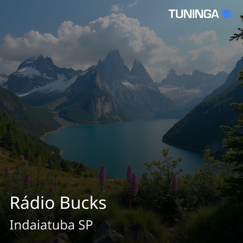 Rádio Bucks
