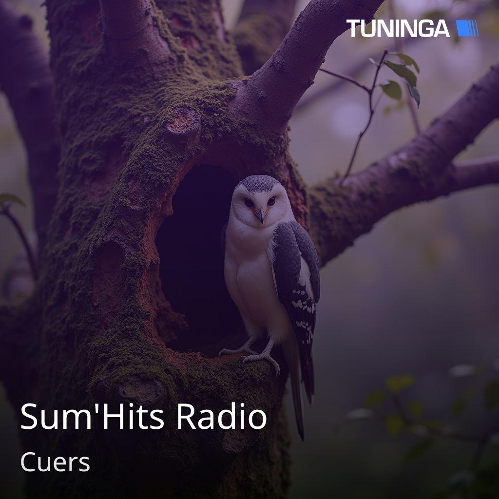 Sum'Hits Radio