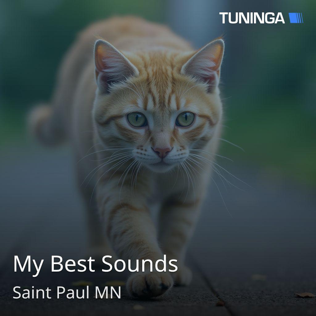My Best Sounds