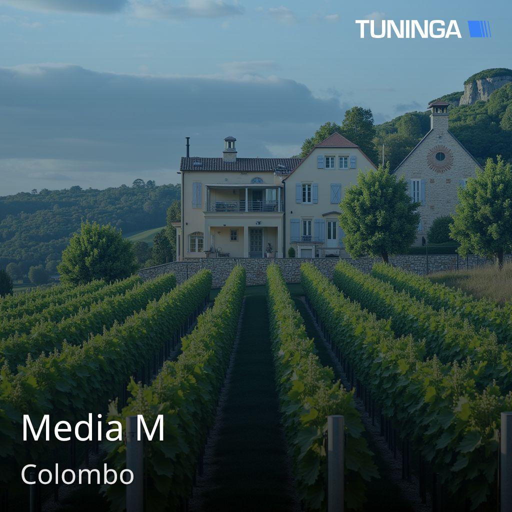 Media M
