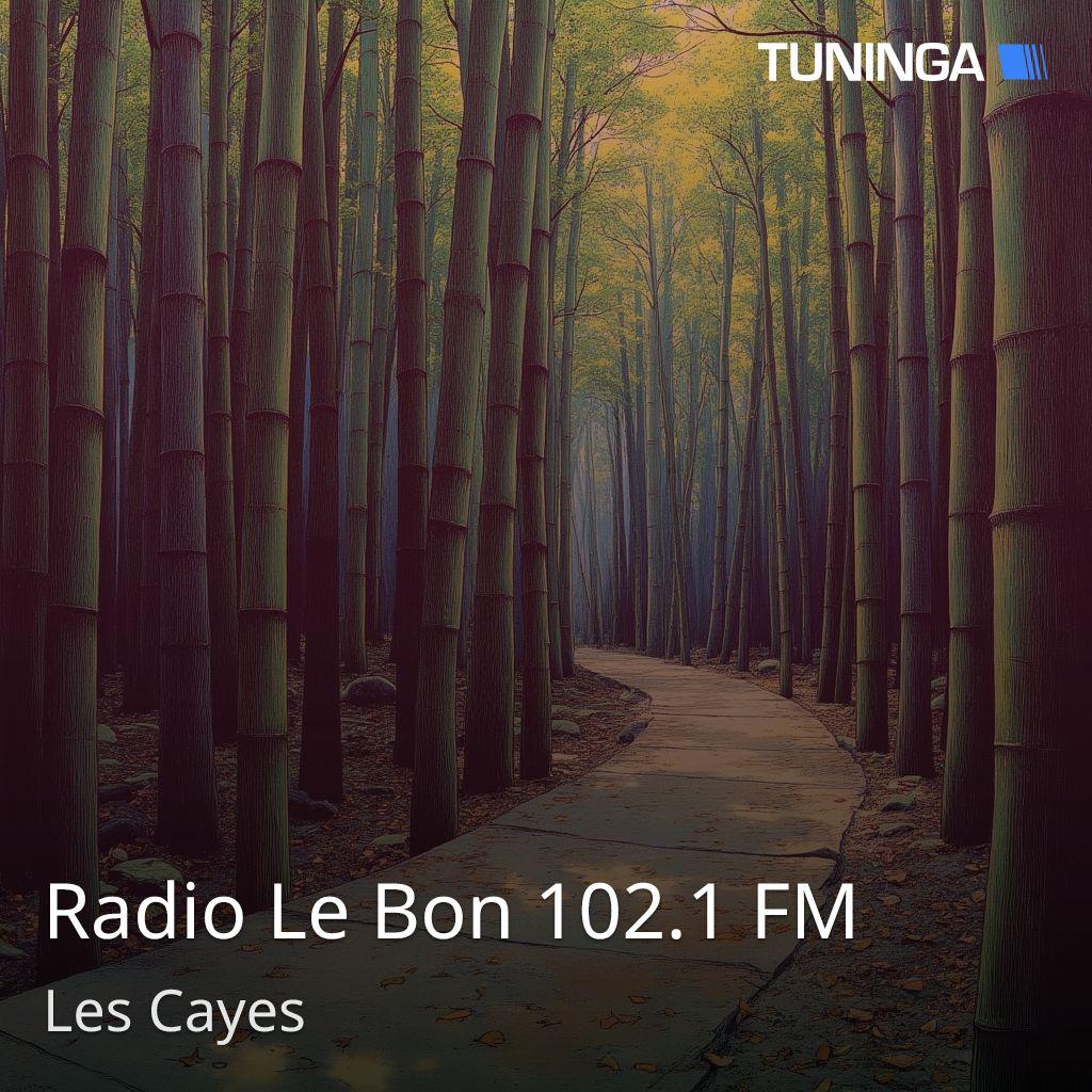 Radio Le Bon 102.1 FM