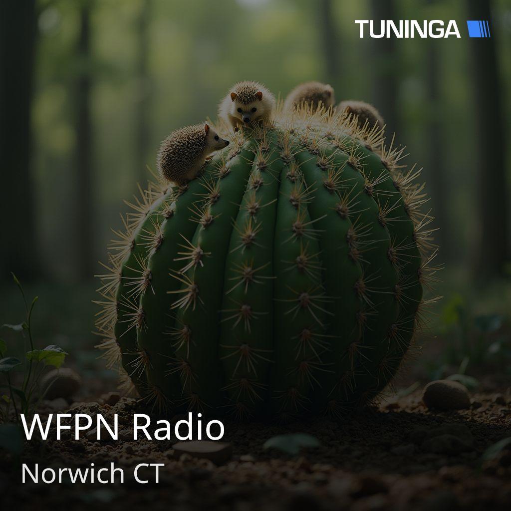 WFPN Radio