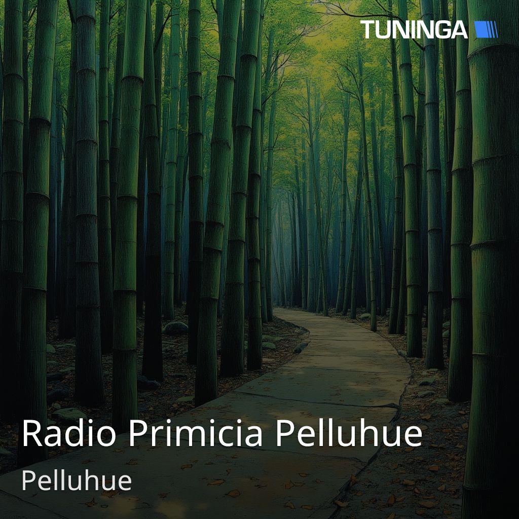 Radio Primicia Pelluhue